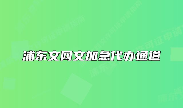 浦東文網(wǎng)文加急代辦通道