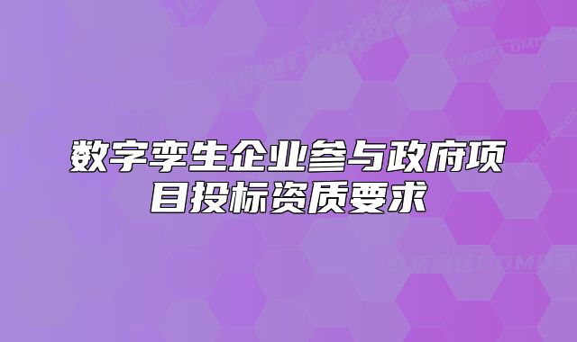 數(shù)字孿生企業(yè)參與政府項(xiàng)目投標(biāo)資質(zhì)要求