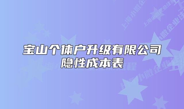 寶山個(gè)體戶升級(jí)有限公司隱性成本表
