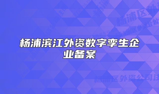 楊浦濱江外資數(shù)字孿生企業(yè)備案