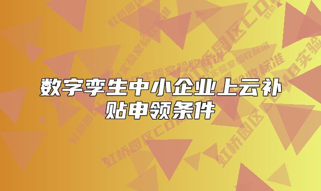 數(shù)字孿生中小企業(yè)上云補(bǔ)貼申領(lǐng)條件