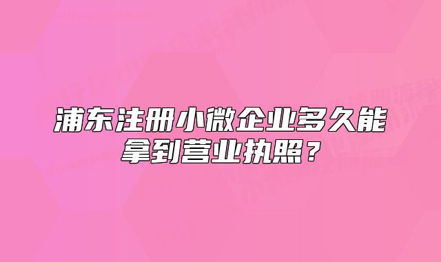 浦東注冊(cè)小微企業(yè)多久能拿到營(yíng)業(yè)執(zhí)照？