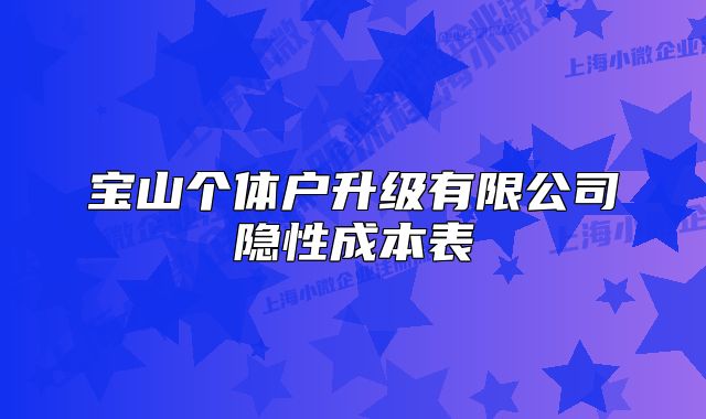 寶山個(gè)體戶升級(jí)有限公司隱性成本表
