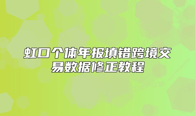 虹口個體年報填錯跨境交易數(shù)據(jù)修正教程