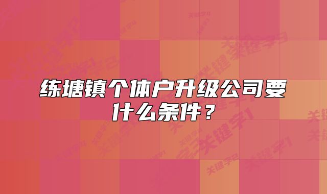 練塘鎮(zhèn)個體戶升級公司要什么條件？