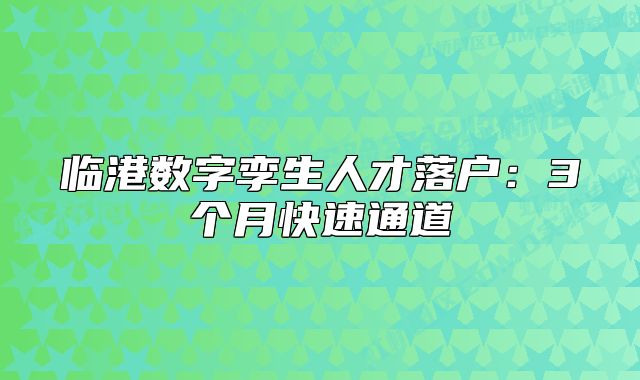 臨港數(shù)字孿生人才落戶(hù)：3個(gè)月快速通道