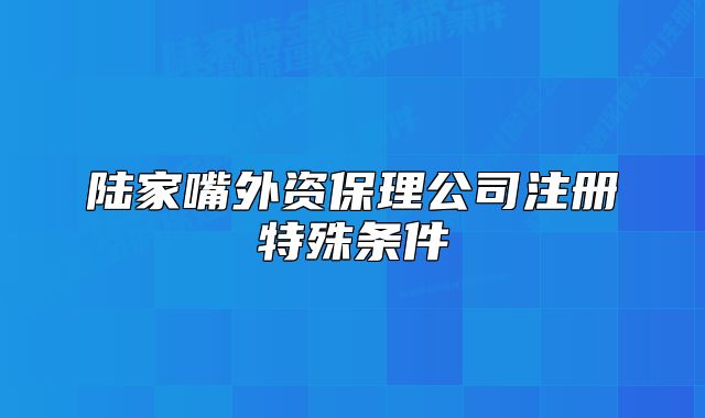 陸家嘴外資保理公司注冊特殊條件