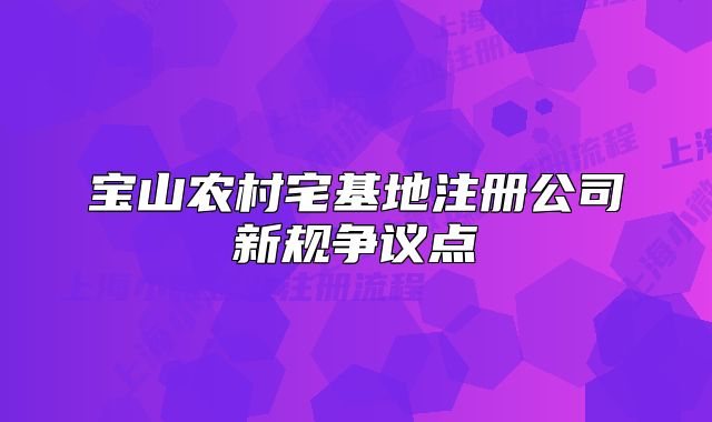 寶山農(nóng)村宅基地注冊公司新規(guī)爭議點(diǎn)