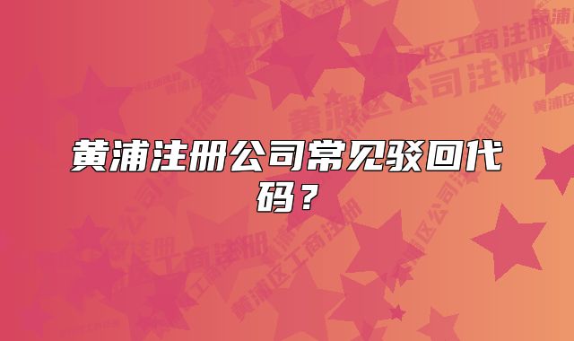 黃浦注冊(cè)公司常見(jiàn)駁回代碼？