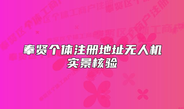 奉賢個體注冊地址無人機(jī)實景核驗