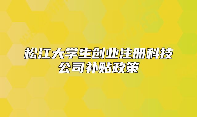 松江大學(xué)生創(chuàng)業(yè)注冊(cè)科技公司補(bǔ)貼政策