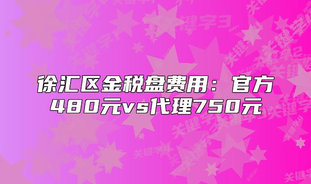 徐匯區(qū)金稅盤費用：官方480元vs代理750元