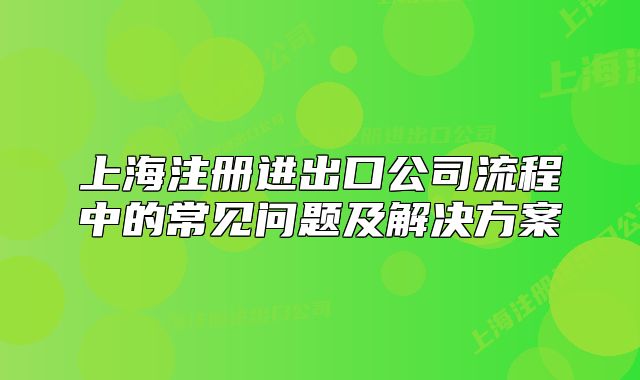 上海注冊進(jìn)出口公司流程中的常見問題及解決方案