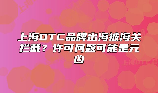 上海DTC品牌出海被海關(guān)攔截？許可問題可能是元兇