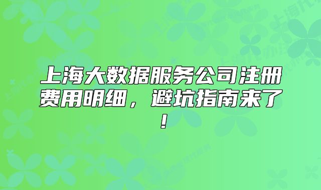 上海大數(shù)據(jù)服務公司注冊費用明細，避坑指南來了！
