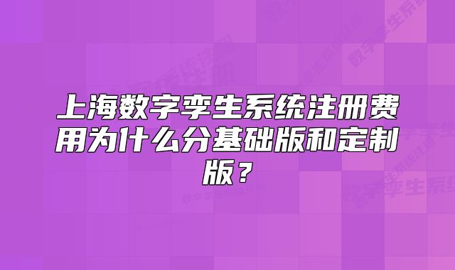 上海數(shù)字孿生系統(tǒng)注冊(cè)費(fèi)用為什么分基礎(chǔ)版和定制版？