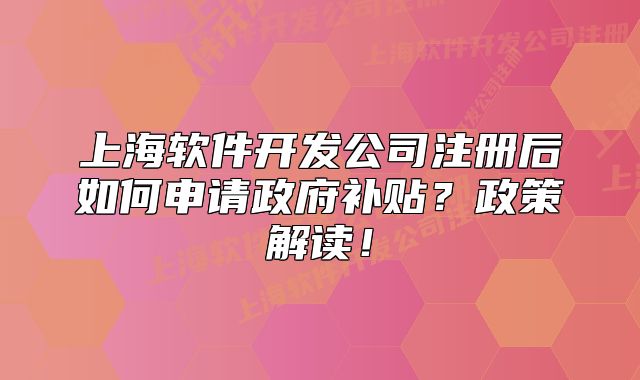 上海軟件開發(fā)公司注冊(cè)后如何申請(qǐng)政府補(bǔ)貼？政策解讀！