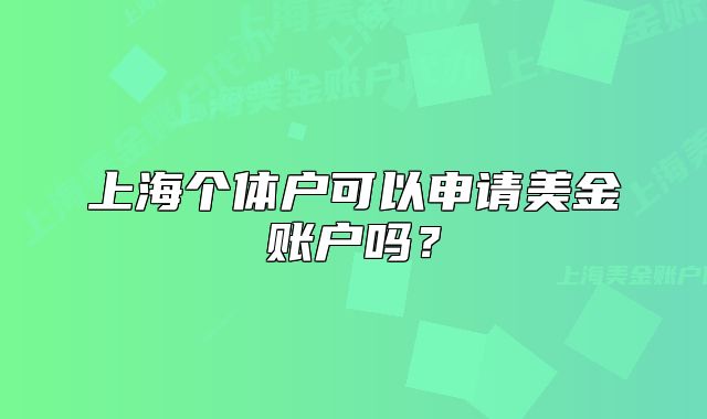 上海個體戶可以申請美金賬戶嗎？