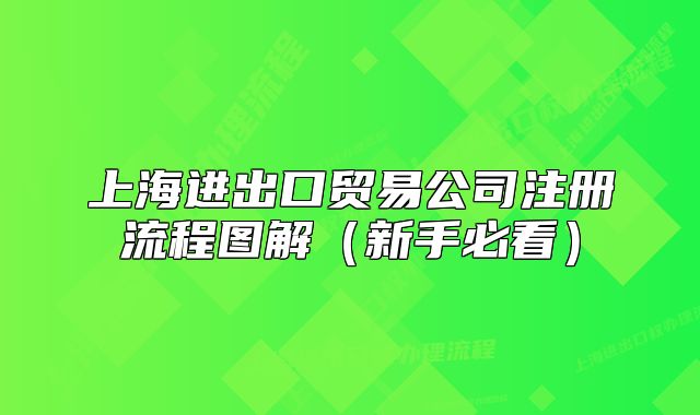 上海進出口貿(mào)易公司注冊流程圖解（新手必看）