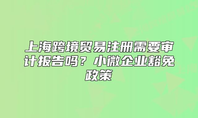 上?？缇迟Q(mào)易注冊需要審計報告嗎？小微企業(yè)豁免政策