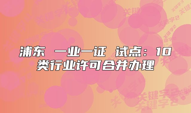 浦東 一業(yè)一證 試點(diǎn):10類行業(yè)許可合并辦理