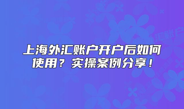 上海外匯賬戶開戶后如何使用？實操案例分享！