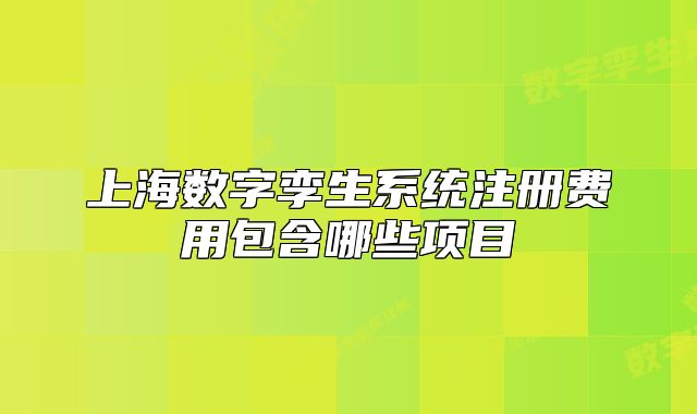 上海數(shù)字孿生系統(tǒng)注冊(cè)費(fèi)用包含哪些項(xiàng)目