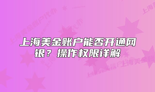 上海美金賬戶能否開通網(wǎng)銀？操作權(quán)限詳解