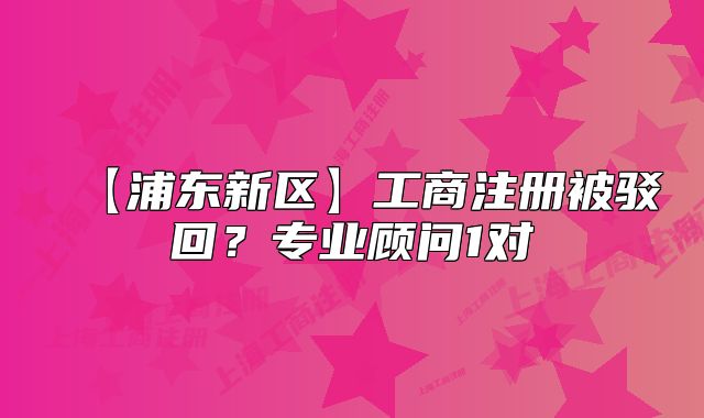【浦東新區(qū)】工商注冊(cè)被駁回？專業(yè)顧問1對(duì)