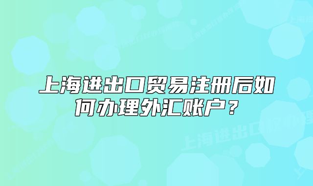 上海進(jìn)出口貿(mào)易注冊(cè)后如何辦理外匯賬戶？