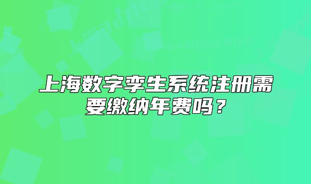 上海數(shù)字孿生系統(tǒng)注冊需要繳納年費(fèi)嗎？