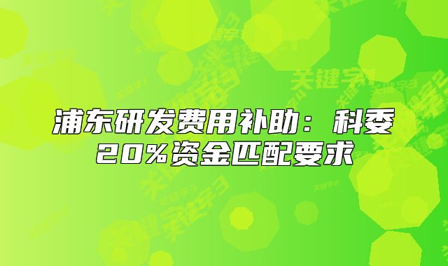 浦東研發(fā)費(fèi)用補(bǔ)助：科委20%資金匹配要求