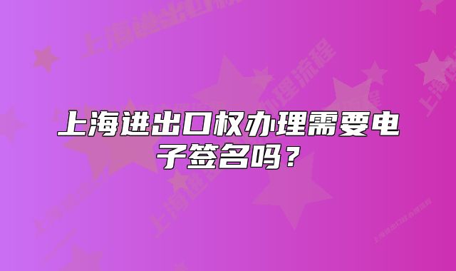 上海進(jìn)出口權(quán)辦理需要電子簽名嗎？