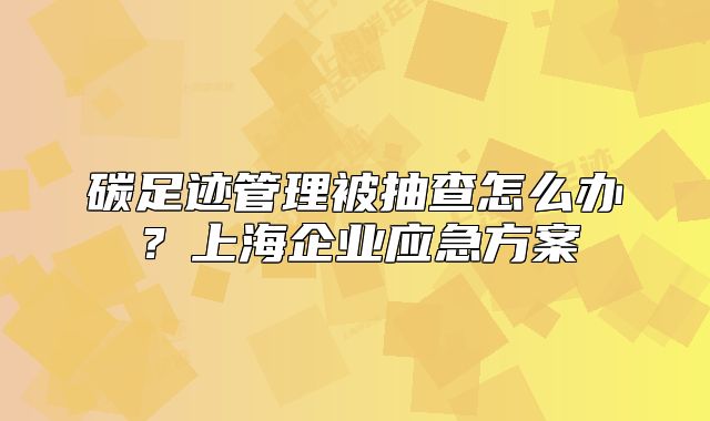 碳足跡管理被抽查怎么辦？上海企業(yè)應(yīng)急方案