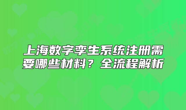 上海數(shù)字孿生系統(tǒng)注冊需要哪些材料？全流程解析