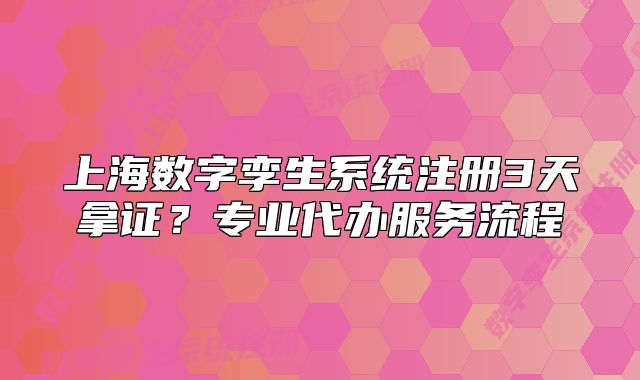 上海數(shù)字孿生系統(tǒng)注冊3天拿證？專業(yè)代辦服務(wù)流程