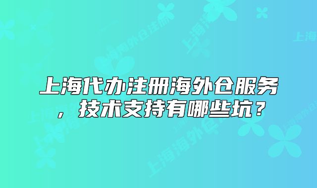 上海代辦注冊(cè)海外倉(cāng)服務(wù)，技術(shù)支持有哪些坑？