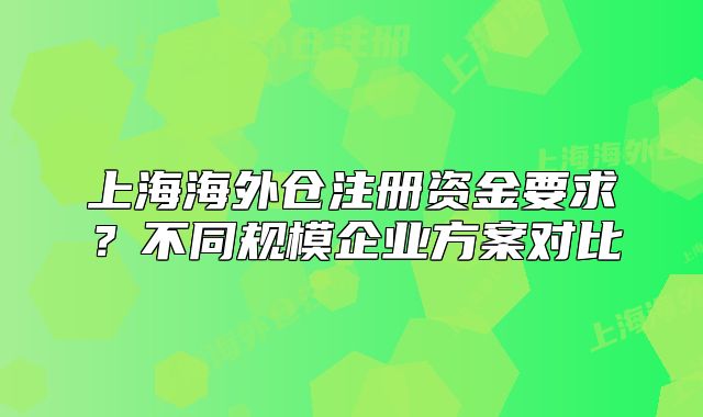 上海海外倉(cāng)注冊(cè)資金要求？不同規(guī)模企業(yè)方案對(duì)比