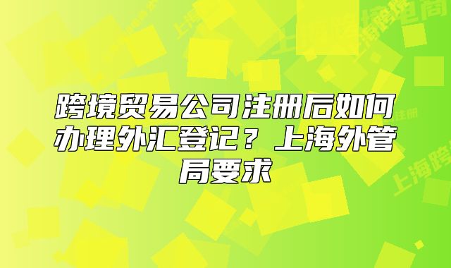 跨境貿(mào)易公司注冊后如何辦理外匯登記？上海外管局要求
