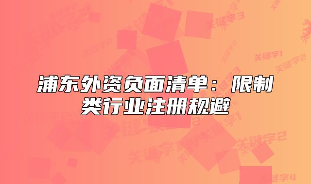 浦東外資負(fù)面清單：限制類行業(yè)注冊規(guī)避