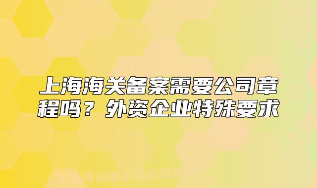 上海海關備案需要公司章程嗎？外資企業(yè)特殊要求