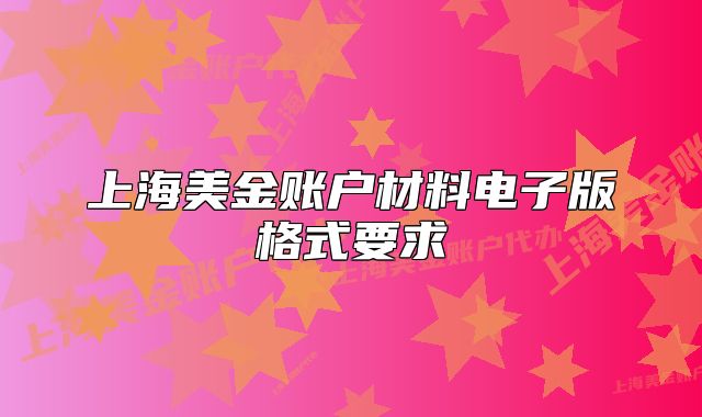 上海美金賬戶材料電子版格式要求