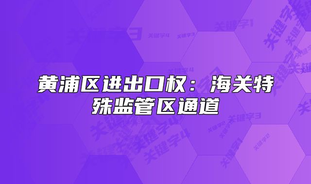 黃浦區(qū)進出口權(quán)：海關(guān)特殊監(jiān)管區(qū)通道