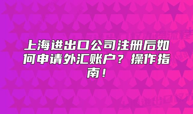 上海進(jìn)出口公司注冊(cè)后如何申請(qǐng)外匯賬戶？操作指南！