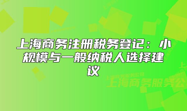 上海商務(wù)注冊稅務(wù)登記：小規(guī)模與一般納稅人選擇建議