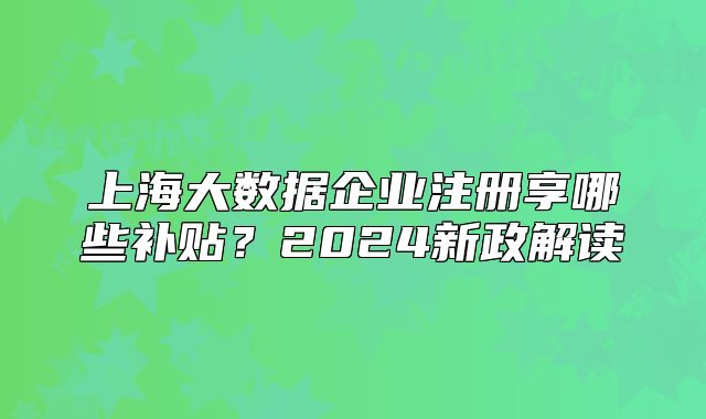 上海大數(shù)據(jù)企業(yè)注冊(cè)享哪些補(bǔ)貼？2024新政解讀