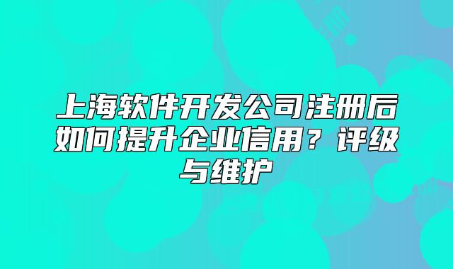 上海軟件開發(fā)公司注冊(cè)后如何提升企業(yè)信用？評(píng)級(jí)與維護(hù)