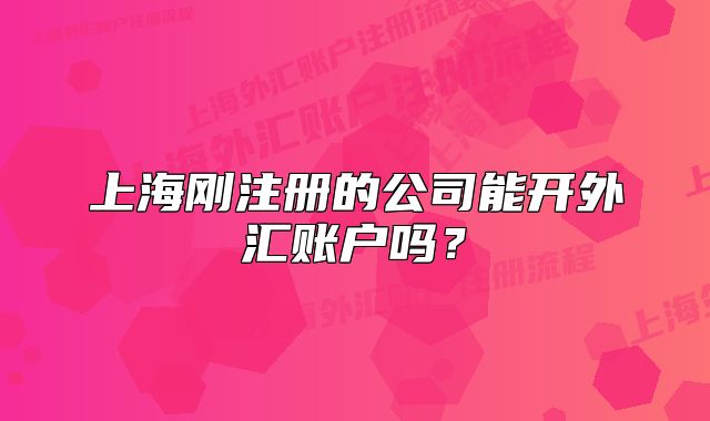 上海剛注冊的公司能開外匯賬戶嗎？