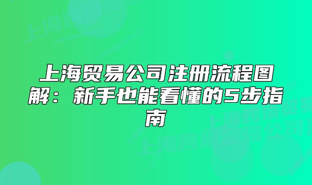上海貿(mào)易公司注冊流程圖解：新手也能看懂的5步指南
