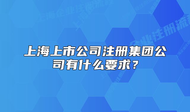 上海上市公司注冊集團公司有什么要求？